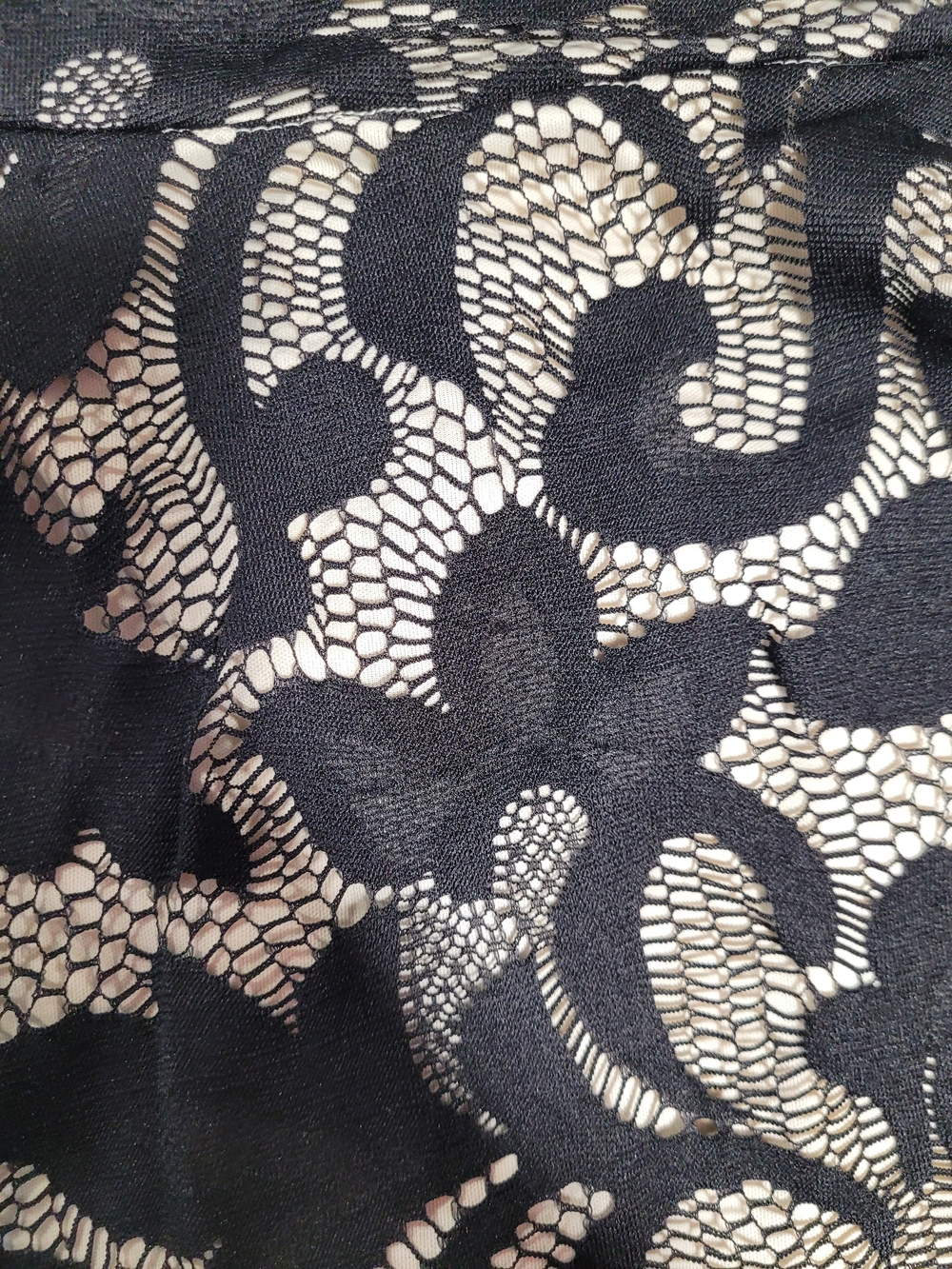 Soprano Black Lace Dress with Nude Lining - Picture 2 of 4